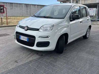 Usata Fiat Panda Launch Edition 69 CV (50 kW) 2020 Bianco Utilitaria
