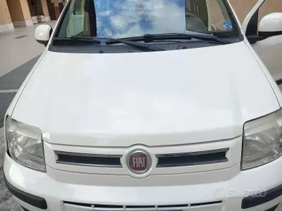 Usata Fiat Panda 60 CV (44 kW) 2010 Bianco Utilitaria