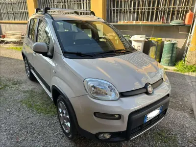 Usata Fiat Panda 4x4 86 CV (63 kW) 2014 Beige Utilitaria