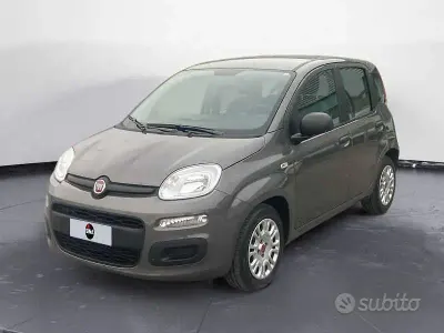 Usata Fiat Panda Easy 70 CV (51 kW) 2021 Grigio Utilitaria
