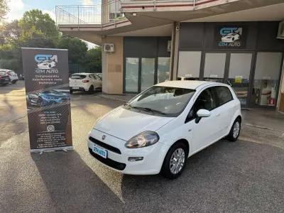 Usata Fiat Punto Easy 95 CV (69 kW) 2013 Bianco Utilitaria