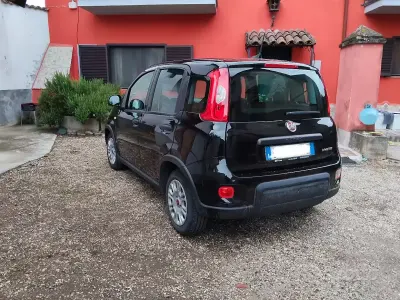 Gebraucht Fiat Panda 70 PS (51 kW) 2024 Kleinwagen