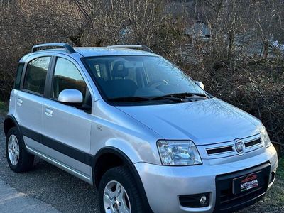 Usata Fiat Panda 4x4 Climbing 75 CV (55 kW) 2012 Grigio Utilitaria