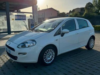 usata Fiat Punto 5p 1.3 mjt Street s&s 95cv