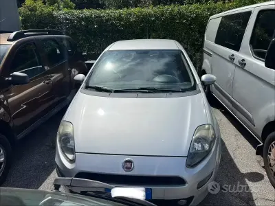 Usata Fiat Punto Easy 85 CV (62 kW) 2013 Grigio Utilitaria