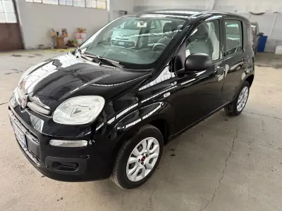 Usata Fiat Panda