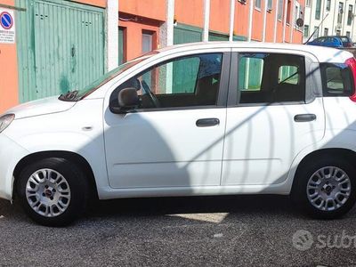 usata Fiat Panda 3ª serie - 2020