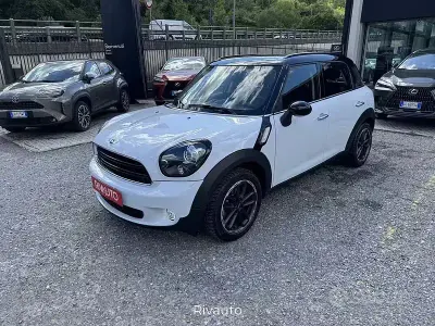Usata Mini Park Lane Countryman