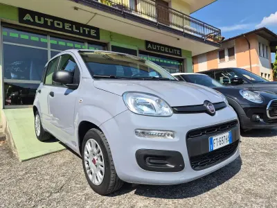 Usata Fiat Panda Easy 69 CV (50 kW) 2018 Grigio Utilitaria