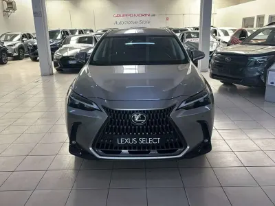 Usata Lexus NX350h