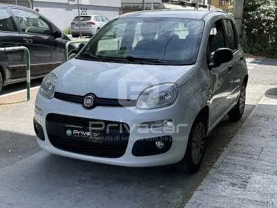 Usata Fiat Panda Easy 69 CV (50 kW) 2019 Bianco Utilitaria