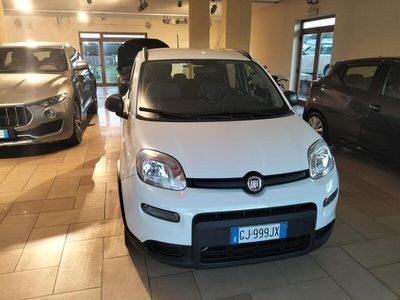 Usata Fiat Panda City Life 70 CV (51 kW) 2022 Bianco Utilitaria