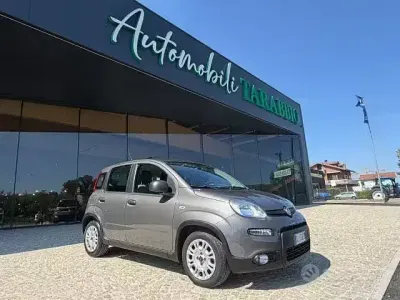 Usata Fiat Panda 69 CV (50 kW) 2022 Grigio Utilitaria