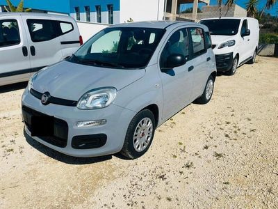 Usata Fiat Panda Easy 95 CV (69 kW) 2018 Grigio Utilitaria