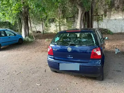 Usata VW Polo