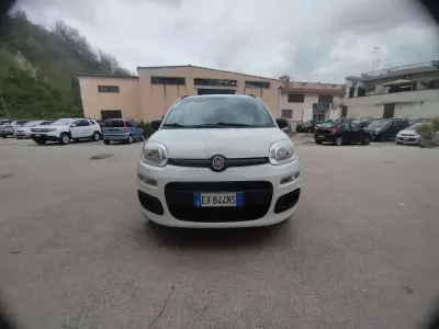 Usata Fiat Panda Easy 69 CV (50 kW) 2015 Utilitaria