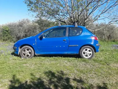 Usata Peugeot 206 68 CV (50 kW) 2002 Furgone