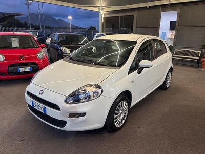 Usata Fiat Punto Lounge 75 CV (55 kW) 2013 Bianco Berlina