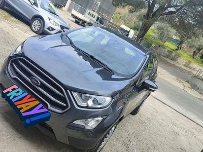Usata Ford Ecosport 2018 Grigio SUV