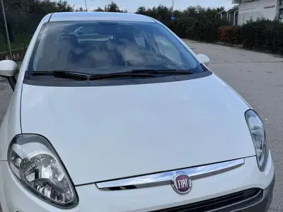 Usata Fiat Punto Evo Active 77 CV (56 kW) 2010 Bianco Utilitaria