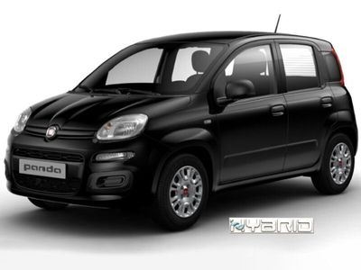 usata Fiat Panda 1.0 1.0 FireFly S&S Hybrid con Pack Comfort +5 Posto