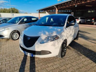 usata Lancia Ypsilon 1.2 benzina 5 porte Elefantino