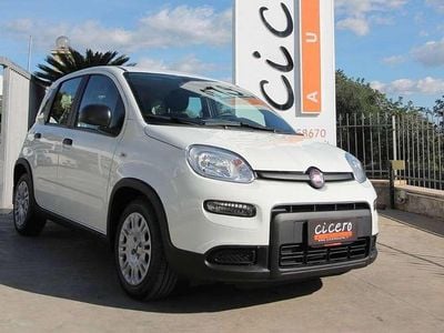 Usata Fiat Panda 69 CV (50 kW) 2024 Bianco Utilitaria