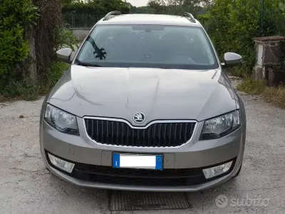 Usata Skoda Octavia