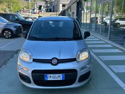 Usata Fiat Panda