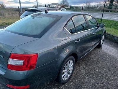 Usata Skoda Octavia Executive 105 CV (77 kW) 2014 Verde Utilitaria