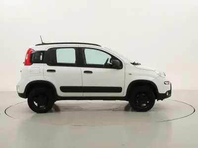 Usata Fiat Panda 4x4 Wild 85 CV (62 kW) 2022 Biancobianco Utilitaria