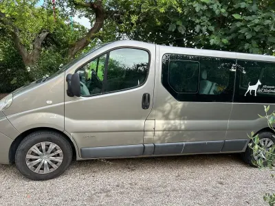 Usata Renault Trafic 114 CV (83 kW) 2007 Bianco Monovolume