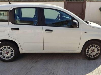 Usata Fiat Panda Connect 69 CV (50 kW) 2020 Utilitaria