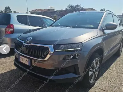 Usata Skoda Karoq