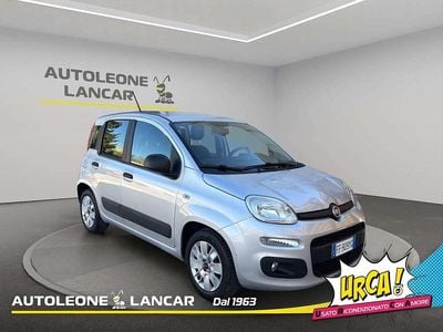 Usata Fiat Panda Easy 95 CV (69 kW) 2016 Grigio Utilitaria