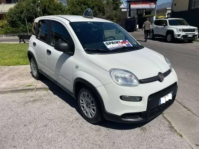 Usata Fiat Panda