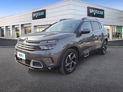 Usata Citroën C5 Aircross Feel 131 CV (96 kW) 2022 Grigio SUV