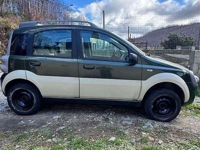 Usata Fiat Panda 4x4 Cross 69 CV (50 kW) 2008 Utilitaria