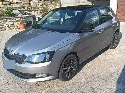 Usata Skoda Fabia
