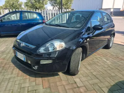 Usata Fiat Punto Evo Active 65 CV (47 kW) 2010 Nero Utilitaria