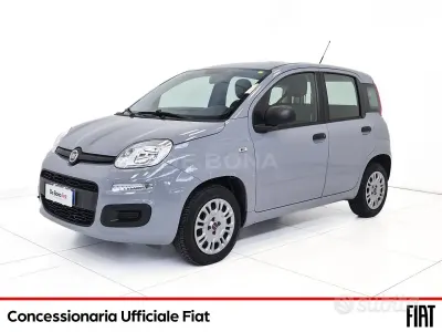 Usata Fiat Panda Easy 70 CV (51 kW) 2020 Grigio Utilitaria