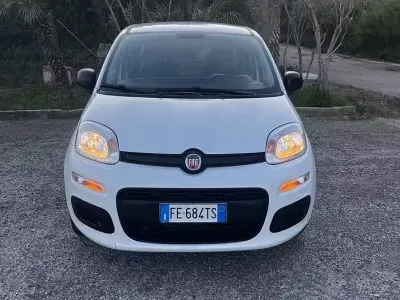 Usata Fiat Panda Easy 69 CV (50 kW) 2016 Bianco Utilitaria