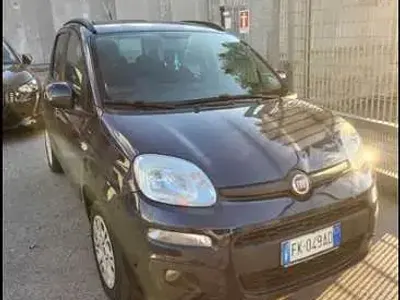 Usata Fiat Panda Lounge 69 CV (50 kW) 2017 Utilitaria