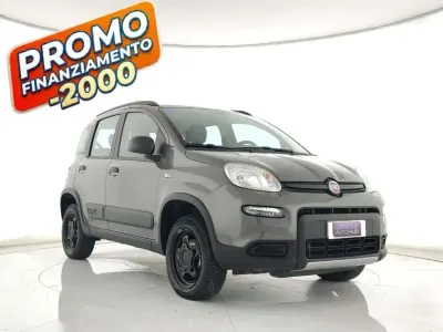 Usata Fiat Panda 4x4 Wild 86 CV (63 kW) 2022 Grigio Utilitaria