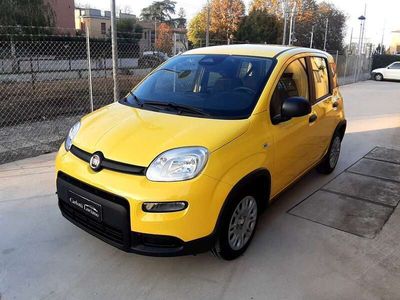 Usata Fiat Panda 69 CV (50 kW) 2024 Giallo Utilitaria