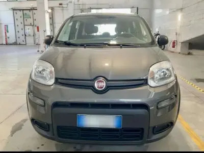 Usata Fiat Panda City Life 69 CV (50 kW) 2023 Utilitaria