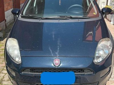 Usata Fiat Punto 77 CV (56 kW) 2016 Utilitaria
