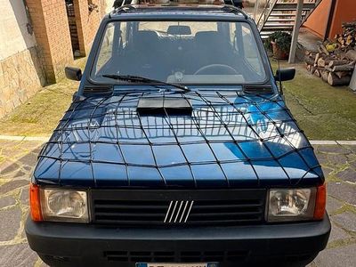 Usata Fiat Panda 54 CV (39 kW) 2003 Blu Berlina