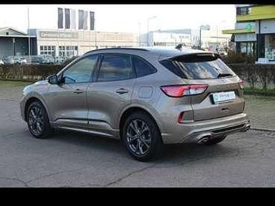Usata Ford Kuga ST-Line X 190 CV (139 kW) 2020 SUV