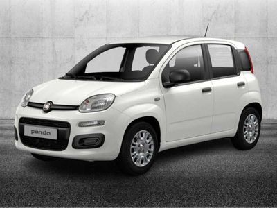 Usata Fiat Panda S 70 CV (51 kW) 2023 Bianco Utilitaria